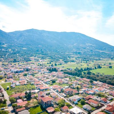 Niforato Studios Enos 15