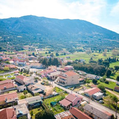 Niforato Studios Enos 16